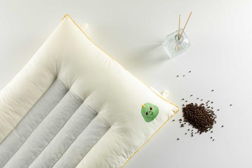 【远梦】青少年决明子成长枕 商品图3