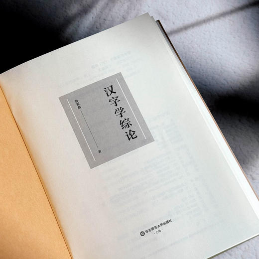 汉字学综论 詹鄞鑫 汉字学研究 汉字起源 现代汉语应用 商品图6