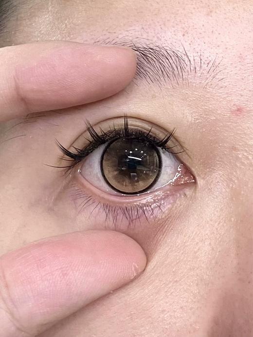 Papadox日抛--金枝玉叶 商品图1