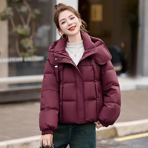 HR-BBL28898洋气小个子连帽加厚保暖羽绒服面包服短款白鸭绒外套女2024冬新款 商品图0