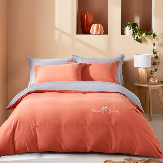 【远梦】畅享生活四件套 商品图10