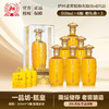 【鼎】泸州老窖一品坊瓶黄500ml*6整箱 商品缩略图0