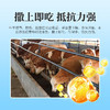 兽用牛羊结节康全身疙瘩起痘口蹄溃烂消瘦反刍动物孕畜可用 商品缩略图2