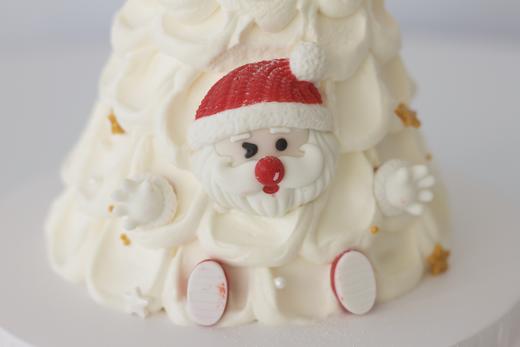 圣诞特别款蛋糕 商品图1