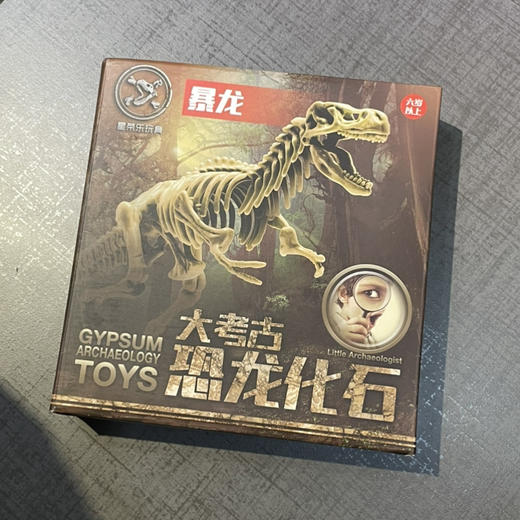 大考古恐龙化石 商品图0