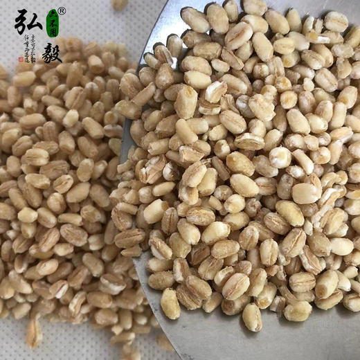 【弘毅六不用生态农场】六不用麦仁 商品图1