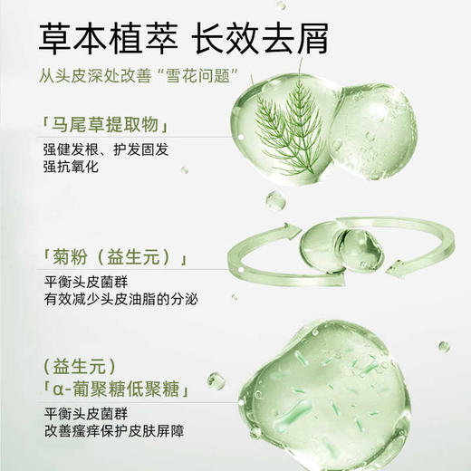 波兰radical缕植洗发水/头皮护理液400ml 商品图5