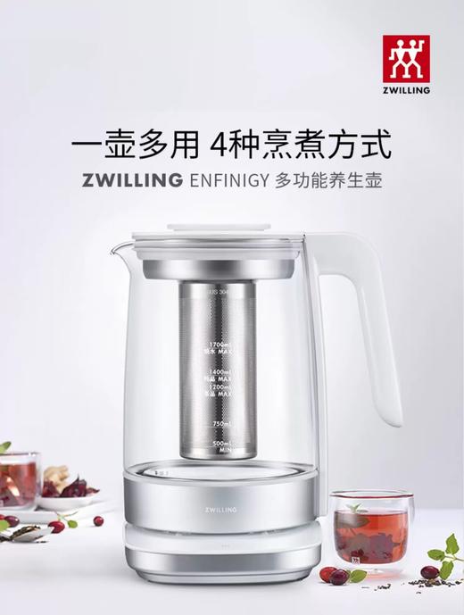 【柏联B1】双立人养生壶（满2000元包邮） 商品图0