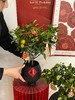 吉日良辰 · 金桔盆栽 商品缩略图2