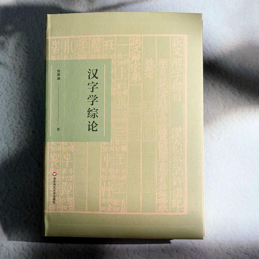 汉字学综论 詹鄞鑫 汉字学研究 汉字起源 现代汉语应用 商品图1