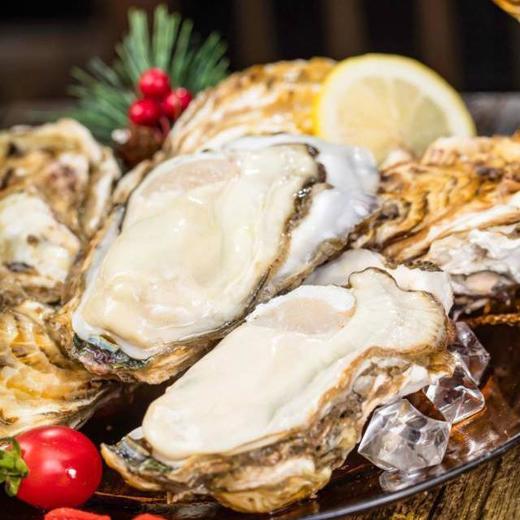 正宗乳山蚝王 | 精选鲜活肥美生蚝 6-8两/只 无污染海域养殖 蚝肉饱满有弾性 口感嫰滑鲜美 顺丰鲜活直达 生蚝 商品图9