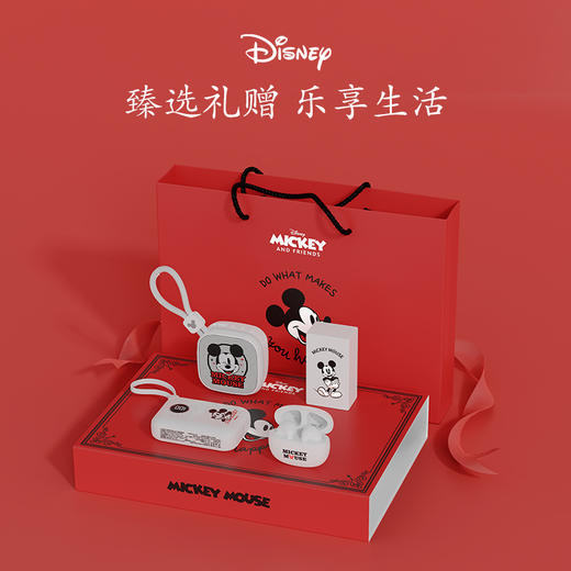 TY迪士尼DW-LH6数码礼盒套装【鲜享3.0】 商品图2