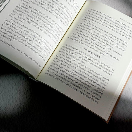 汉字学综论 詹鄞鑫 汉字学研究 汉字起源 现代汉语应用 商品图12