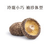 湖心泉 有机袖珍香菇280g 干香菇迷你小香菇珍珠菇煲汤火锅食材南北干货 /粮油调味 /南北干货 /菌菇干货 商品缩略图4