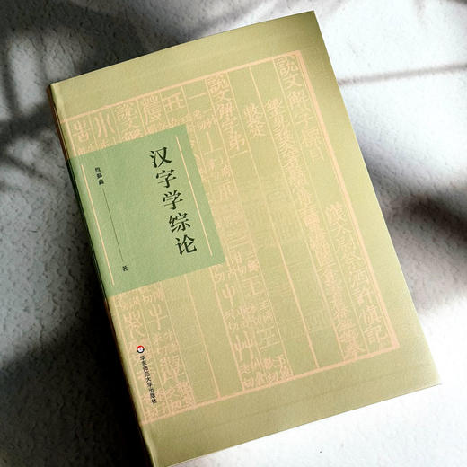 汉字学综论 詹鄞鑫 汉字学研究 汉字起源 现代汉语应用 商品图4