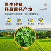 吉得利  欧芹碎20g 臻选玻璃瓶系列 西餐意面牛排披萨烧烤香料调味料 /粮油调味 /调味品 /基础香辛料 商品缩略图2