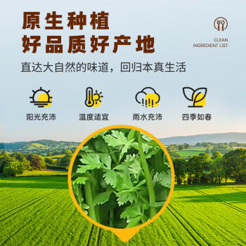 吉得利  欧芹碎20g 臻选玻璃瓶系列 西餐意面牛排披萨烧烤香料调味料 /粮油调味 /调味品 /基础香辛料 商品图2