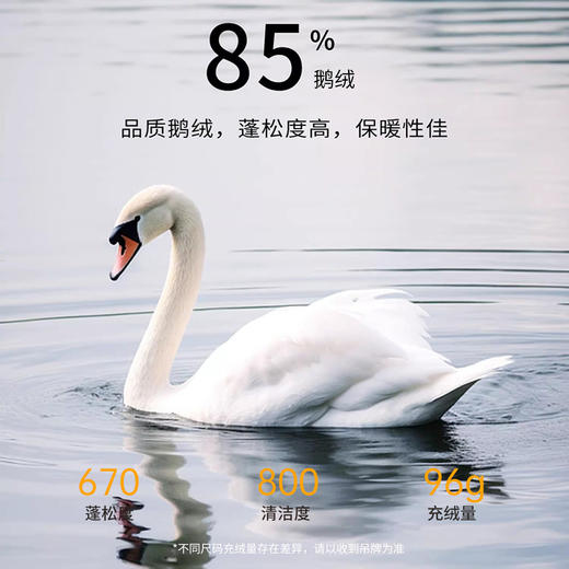 【大师系列】连帽可拆卸短款加厚鹅绒马甲249B0D515O 商品图3