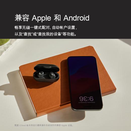 Beats Solo Buds 真无线耳机 商品图4