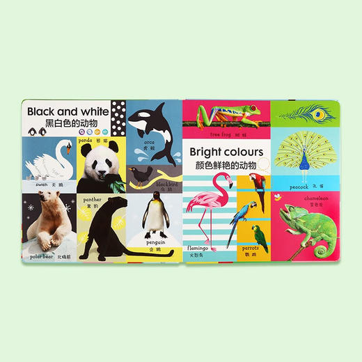 小彼恩DK英汉百科100 点读版 5册 商品图2