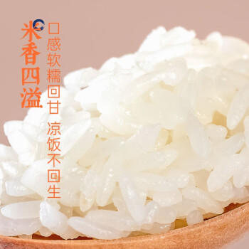 隆平芯米五常大米10斤 稻花香2号 当季新米 东北大米 粳米 25年现磨鲜装 /粮油调味 /米 /稻花香米 商品图4