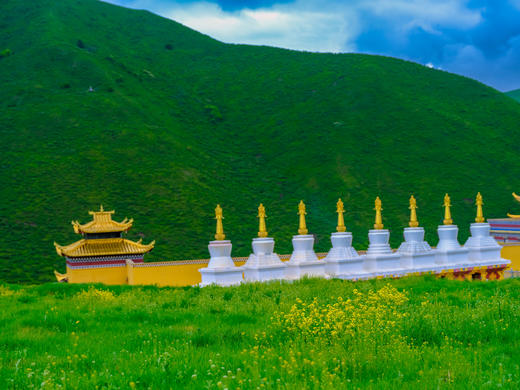 5月29日【四川】俄木塘花海•扎尕那•莲宝叶则•神座8天摄影团 商品图4