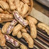 云南花生500g 土壤有机含量高 手工采收 自然日晒 甘香回甜 商品缩略图0