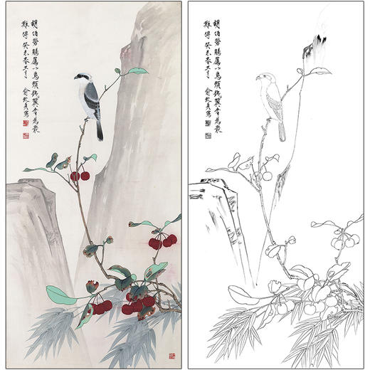 俞致贞花鸟工笔画白描底稿竖幅《红果翠鸟》临摹勾线高清打印稿ZZ38 商品图0