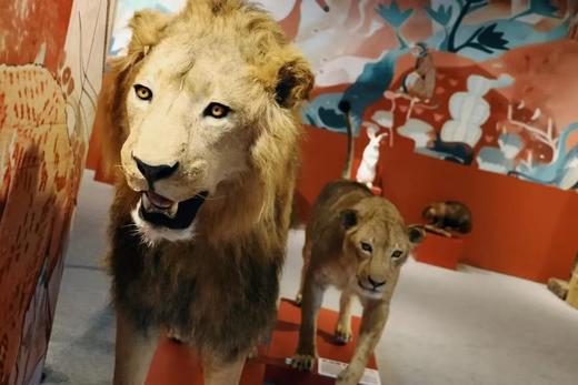 艺犹未尽——898 艺术村 2025 年元旦有礼活动 商品图3