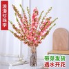 赠送营养液【特殊商品/请提前看售后须知】10支珍珠李鲜花干枝重瓣水培桃枝花植物樱花卉室内干花束水养干支 商品缩略图0