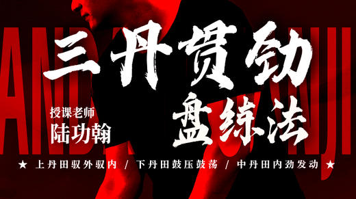 【三丹贯劲盘练法  】自学课程 商品图0