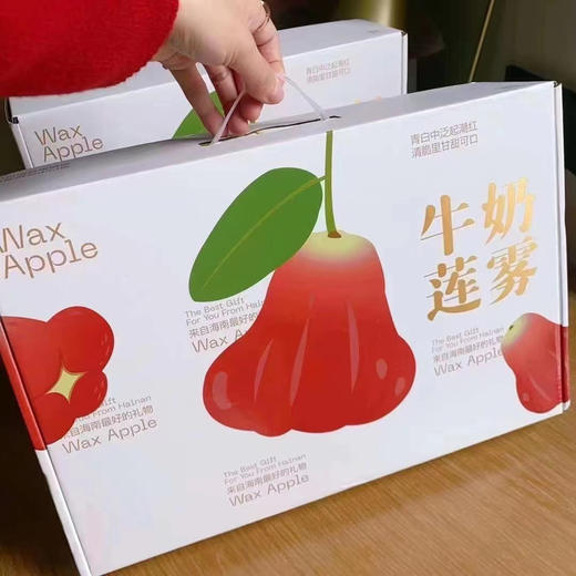 海南三亚·牛奶莲雾清甜水润口感脆嫩嫩顺丰空运包邮下单从海南发货 商品图4