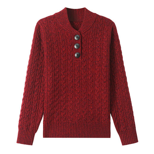 CC-QQH-9165立领毛衣秋冬女小个子2024新款洋气针织上衣打底衫内搭可外穿 商品图4