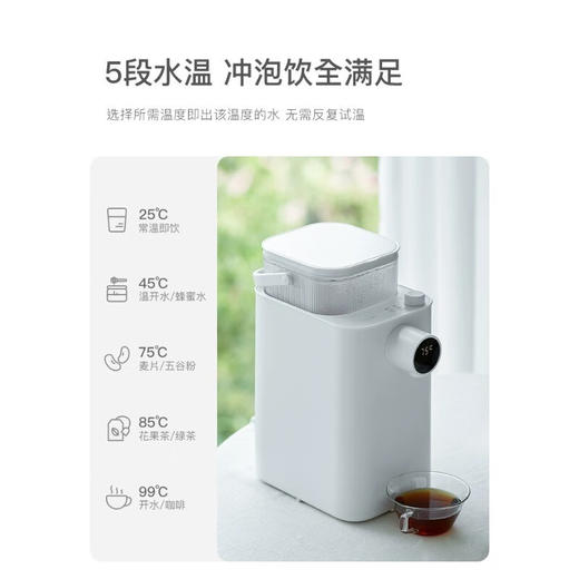 olayks 立时即热式饮水机家用办公台式饮水机速热多挡水温调节家用桌面台式直饮机免安装 便携式热水壶 商品图3