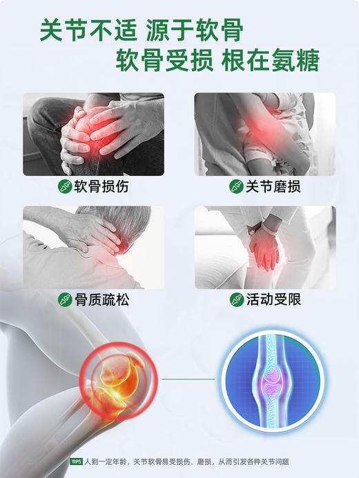 Ensonkan安迅康 硫酸氨基葡萄糖胶囊加拿大进口氨糖软骨素钙片中老年保健品MSM维骨力益关节 商品图2