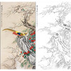 俞致贞花鸟工笔画白描底稿竖幅锦鸡《锦绣前程》临摹勾线高清打印稿ZZ29 商品缩略图0