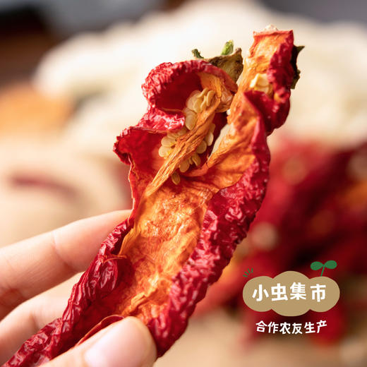 新疆有机辣皮子 2袋 | 合作农友生产，产自新疆，生产者：王忠军 *【公平贸易农人定价】 商品图1