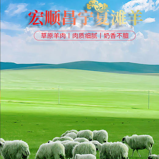 宁夏盐池滩羊礼盒598型【LXKGCJ3.0】 商品图2