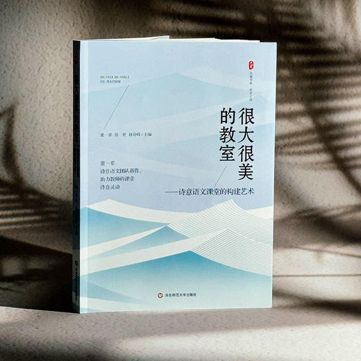 很大很美的教室 诗意语文课堂的构建艺术 大夏书系 董一菲 胡艳 孙奇峰 语文之道 教师成长 商品图3