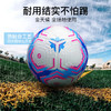 小李子正品李质造专业赛级训练足球热粘合5号球稳定耐踢脚感舒适 商品缩略图1
