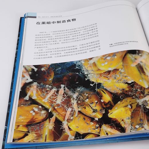 《海洋全书：国家地理新探索》 商品图4