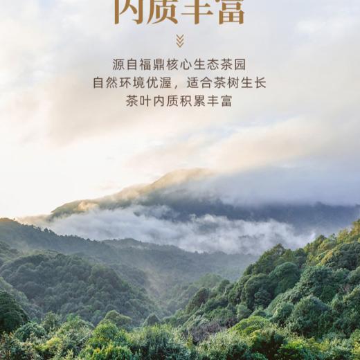 （地标款）陈皮白茶+福鼎白茶老白茶茶叶礼盒款（四条装） 商品图3