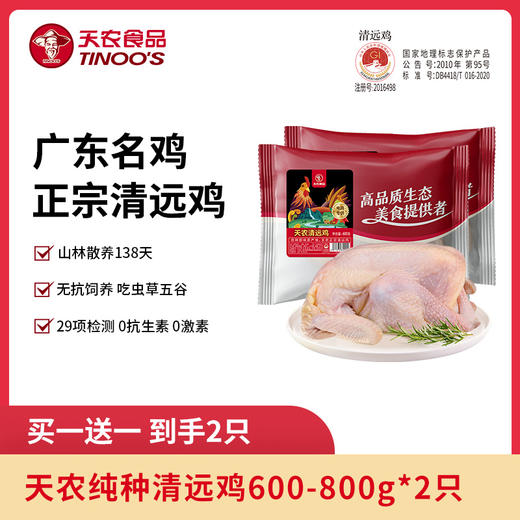 天农原种清远鸡600-800g整鸡 农家散养138天走地鸡土鸡鸡肉 商品图0