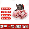 【锅汇食材】猪肋排新鲜猪排骨1kg×2包 黑猪肉 农家散养土猪肉 生猪肉冷冻原切肋排 商品缩略图1