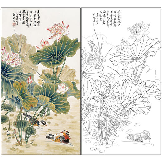 俞致贞花鸟工笔画白描底稿竖幅荷花《荷花鸳鸯》临摹勾线高清打印稿ZZ27 商品图0