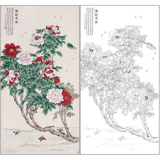 俞致贞花鸟工笔画白描底稿竖幅牡丹《洛城春永》临摹勾线高清打印稿ZZ35 商品图0