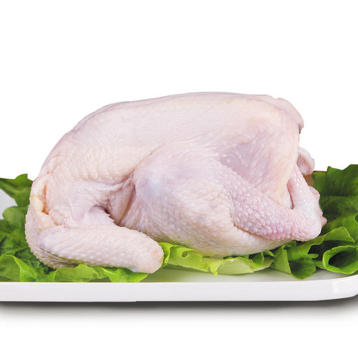 天农原种清远鸡600-800g整鸡 农家散养138天走地鸡土鸡鸡肉 商品图1