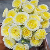 多头玫瑰.暖暖 商品缩略图2