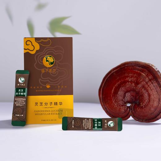 灵芝分子精华固体饮料0.3g*30条/盒 商品图0