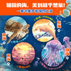 美丽中国海（全4册） 商品缩略图2